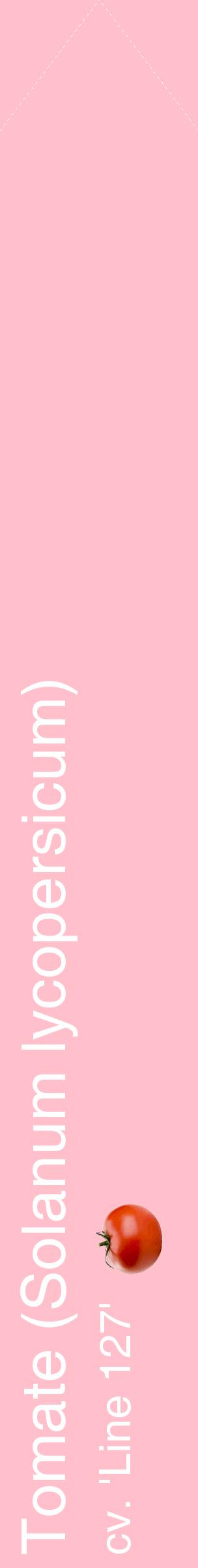 Étiquette de : Solanum lycopersicum cv. 'Line 127' - format c - style blanche40_simplehel avec comestibilité simplifiée