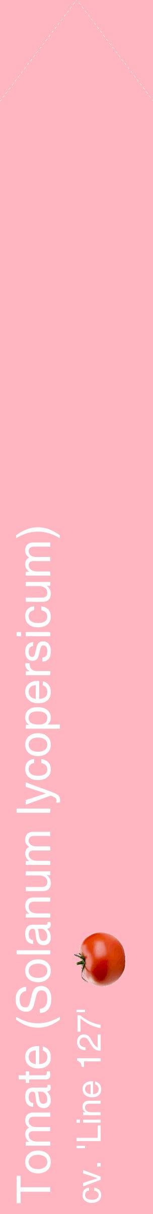Étiquette de : Solanum lycopersicum cv. 'Line 127' - format c - style blanche41_simplehel avec comestibilité simplifiée