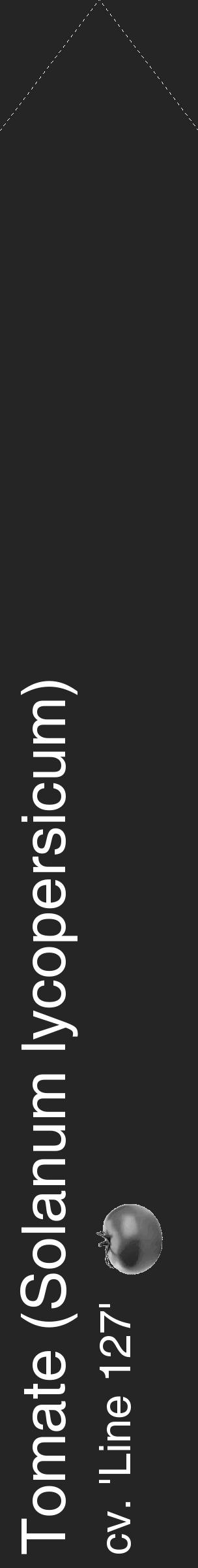 Étiquette de : Solanum lycopersicum cv. 'Line 127' - format c - style blanche47_simple_simplehel avec comestibilité simplifiée - position verticale