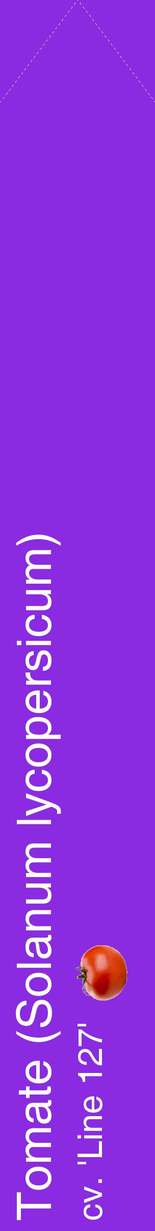 Étiquette de : Solanum lycopersicum cv. 'Line 127' - format c - style blanche49_simplehel avec comestibilité simplifiée