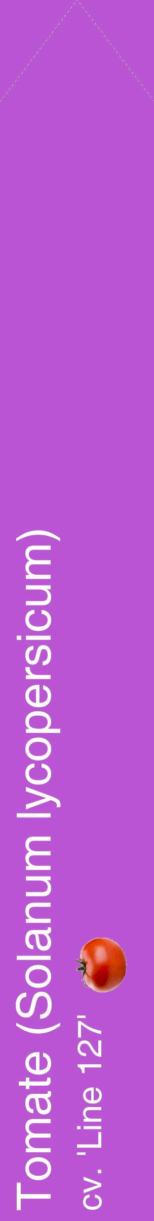 Étiquette de : Solanum lycopersicum cv. 'Line 127' - format c - style blanche50_simplehel avec comestibilité simplifiée