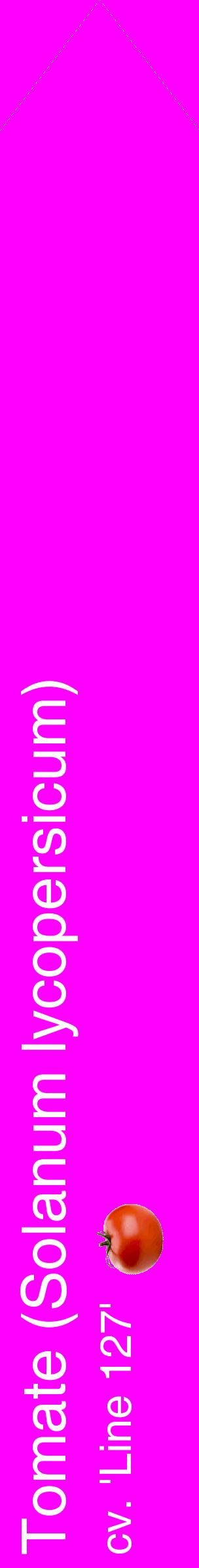 Étiquette de : Solanum lycopersicum cv. 'Line 127' - format c - style blanche51_simplehel avec comestibilité simplifiée