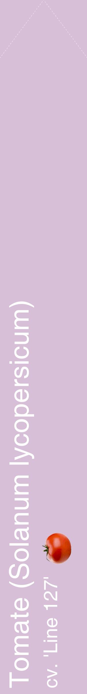 Étiquette de : Solanum lycopersicum cv. 'Line 127' - format c - style blanche54_simplehel avec comestibilité simplifiée