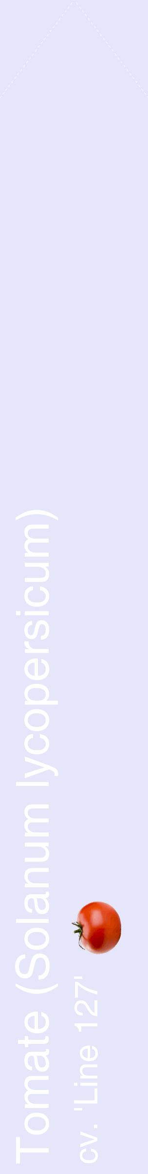 Étiquette de : Solanum lycopersicum cv. 'Line 127' - format c - style blanche55_simplehel avec comestibilité simplifiée