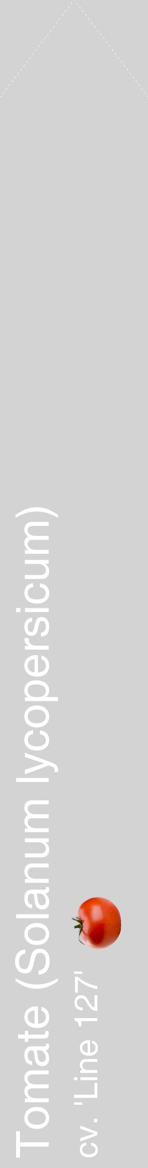 Étiquette de : Solanum lycopersicum cv. 'Line 127' - format c - style blanche56_simplehel avec comestibilité simplifiée