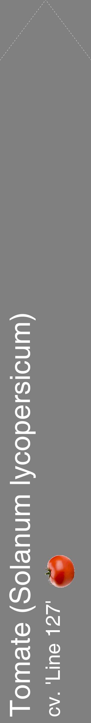 Étiquette de : Solanum lycopersicum cv. 'Line 127' - format c - style blanche57_simplehel avec comestibilité simplifiée