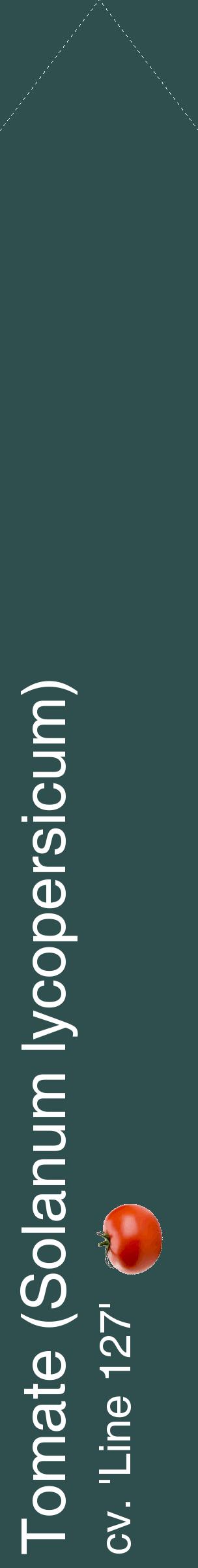 Étiquette de : Solanum lycopersicum cv. 'Line 127' - format c - style blanche58_simplehel avec comestibilité simplifiée