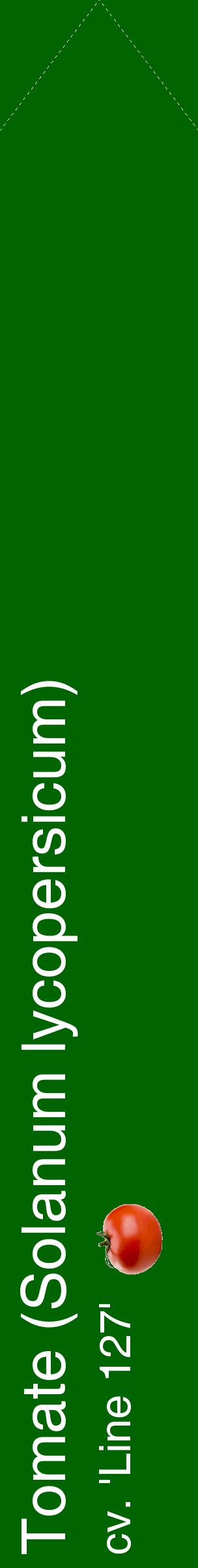 Étiquette de : Solanum lycopersicum cv. 'Line 127' - format c - style blanche8_simplehel avec comestibilité simplifiée