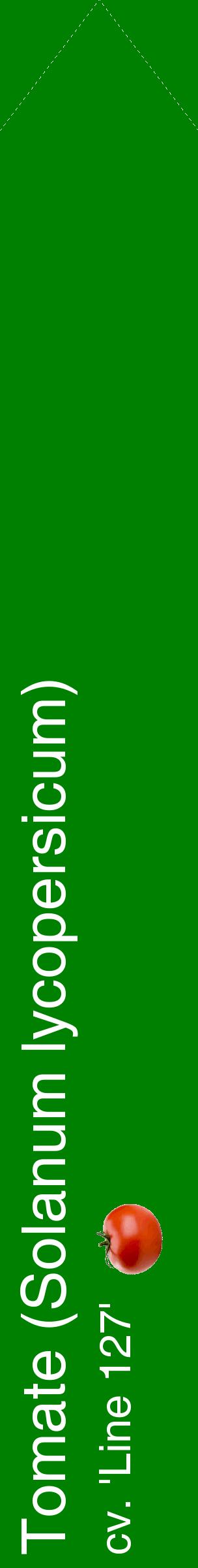 Étiquette de : Solanum lycopersicum cv. 'Line 127' - format c - style blanche9_simplehel avec comestibilité simplifiée