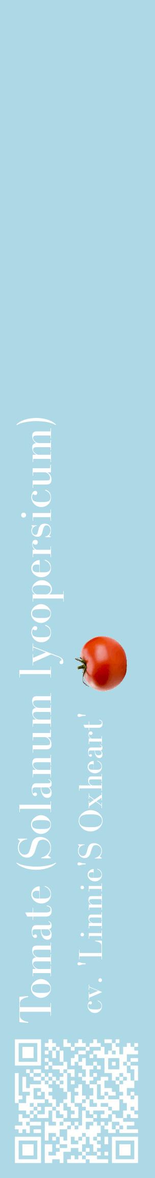 Étiquette de : Solanum lycopersicum cv. 'Linnie'S Oxheart' - format c - style blanche0_basiquebod avec qrcode et comestibilité simplifiée