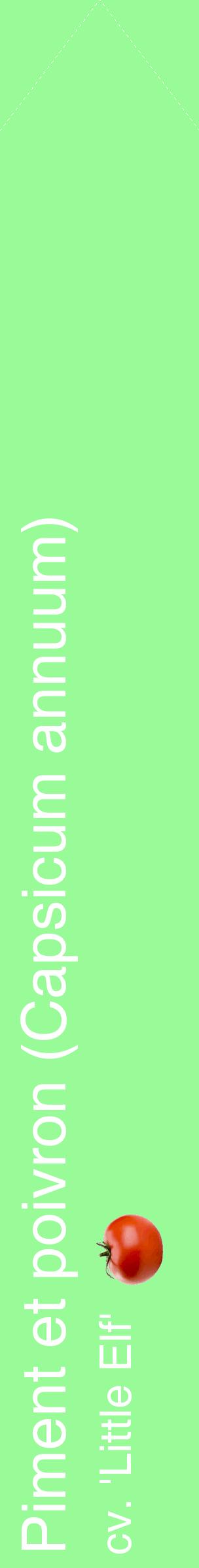 Étiquette de : Capsicum annuum cv. 'Little Elf' - format c - style blanche14_simplehel avec comestibilité simplifiée