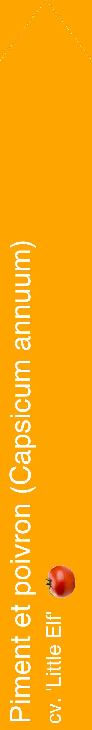 Étiquette de : Capsicum annuum cv. 'Little Elf' - format c - style blanche22_simplehel avec comestibilité simplifiée