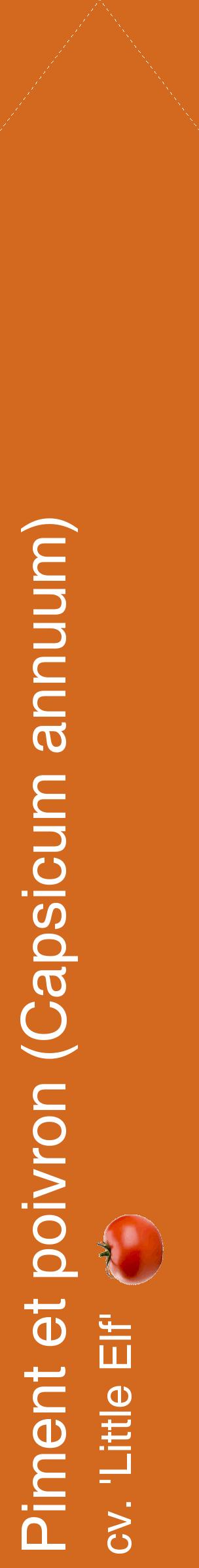 Étiquette de : Capsicum annuum cv. 'Little Elf' - format c - style blanche31_simplehel avec comestibilité simplifiée