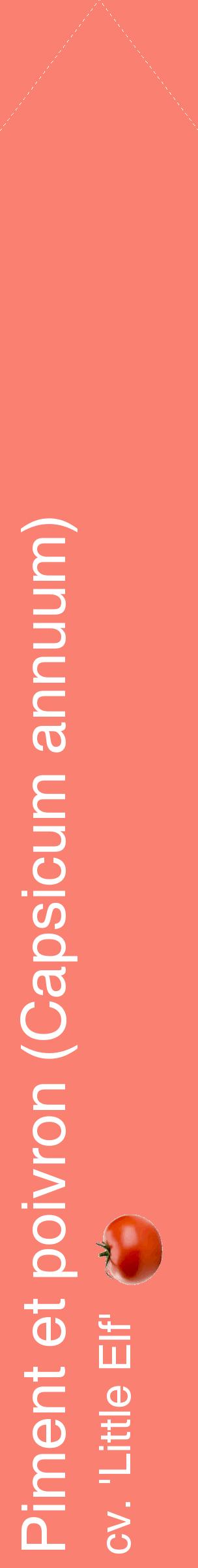 Étiquette de : Capsicum annuum cv. 'Little Elf' - format c - style blanche38_simplehel avec comestibilité simplifiée
