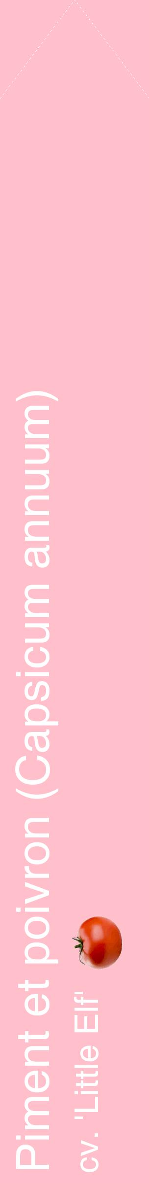 Étiquette de : Capsicum annuum cv. 'Little Elf' - format c - style blanche40_simplehel avec comestibilité simplifiée