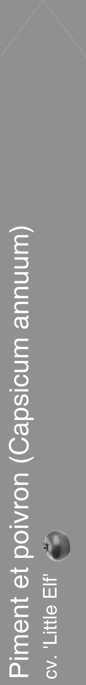 Étiquette de : Capsicum annuum cv. 'Little Elf' - format c - style blanche4_simple_simplehel avec comestibilité simplifiée - position verticale