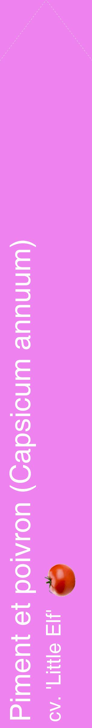 Étiquette de : Capsicum annuum cv. 'Little Elf' - format c - style blanche53_simplehel avec comestibilité simplifiée