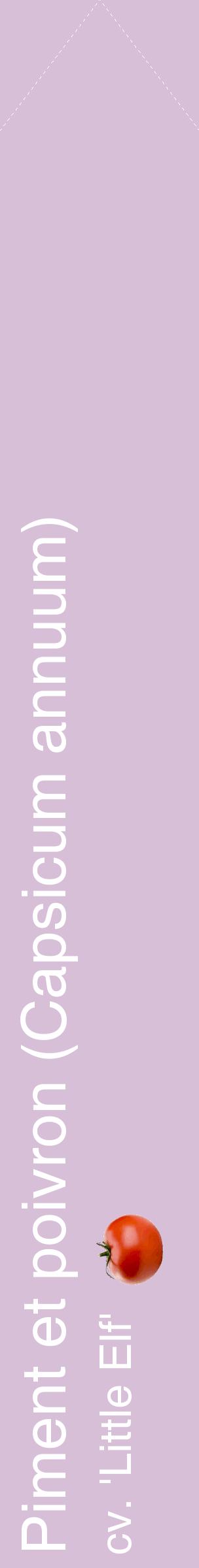 Étiquette de : Capsicum annuum cv. 'Little Elf' - format c - style blanche54_simplehel avec comestibilité simplifiée