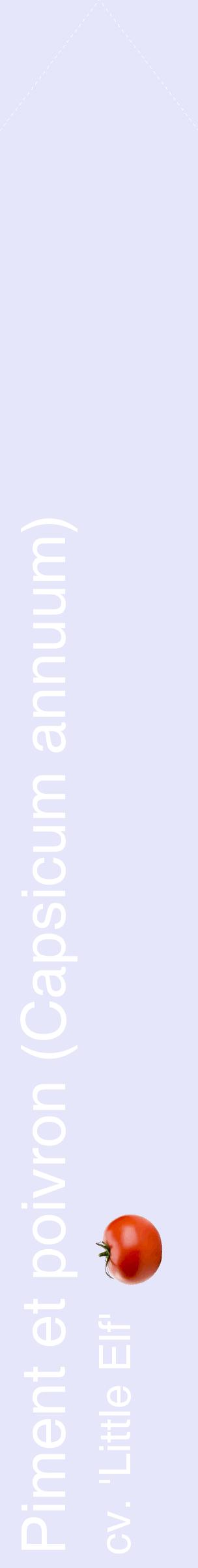 Étiquette de : Capsicum annuum cv. 'Little Elf' - format c - style blanche55_simplehel avec comestibilité simplifiée
