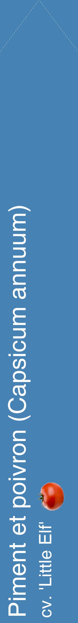 Étiquette de : Capsicum annuum cv. 'Little Elf' - format c - style blanche5_simplehel avec comestibilité simplifiée