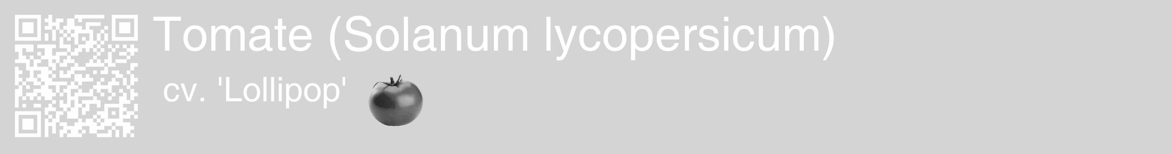 Étiquette de : Solanum lycopersicum cv. 'Lollipop' - format c - style blanche40_basique_basiquehel avec qrcode et comestibilité simplifiée