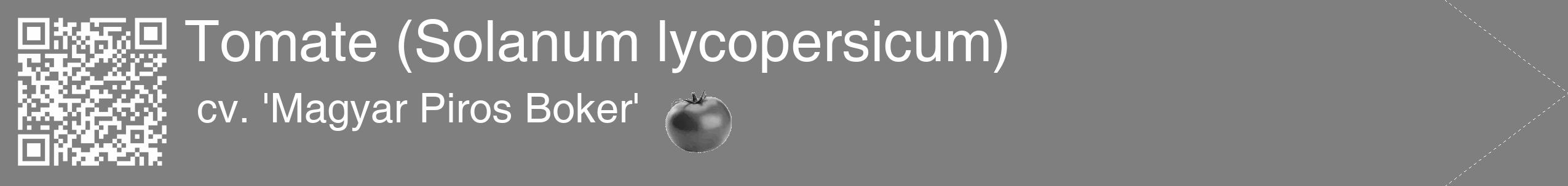 Étiquette de : Solanum lycopersicum cv. 'Magyar Piros Boker' - format c - style blanche31_simple_simplehel avec qrcode et comestibilité simplifiée