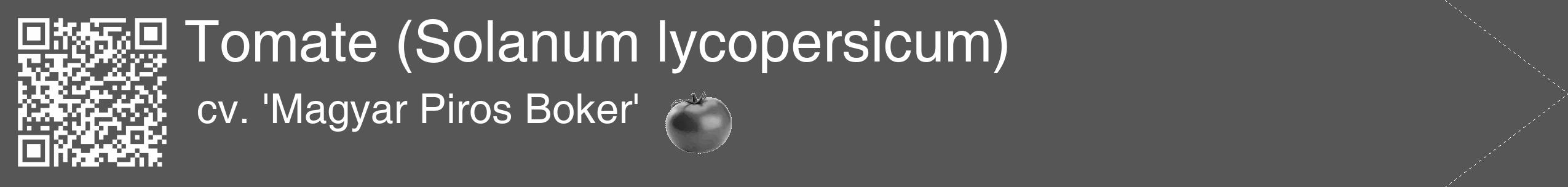 Étiquette de : Solanum lycopersicum cv. 'Magyar Piros Boker' - format c - style blanche45_simple_simplehel avec qrcode et comestibilité simplifiée