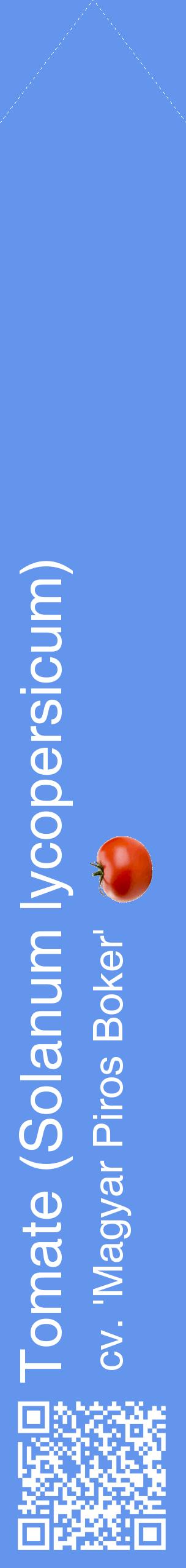 Étiquette de : Solanum lycopersicum cv. 'Magyar Piros Boker' - format c - style blanche4_simplehel avec qrcode et comestibilité simplifiée