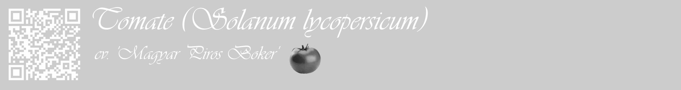 Étiquette de : Solanum lycopersicum cv. 'Magyar Piros Boker' - format c - style blanche0_basique_basiqueviv avec qrcode et comestibilité simplifiée