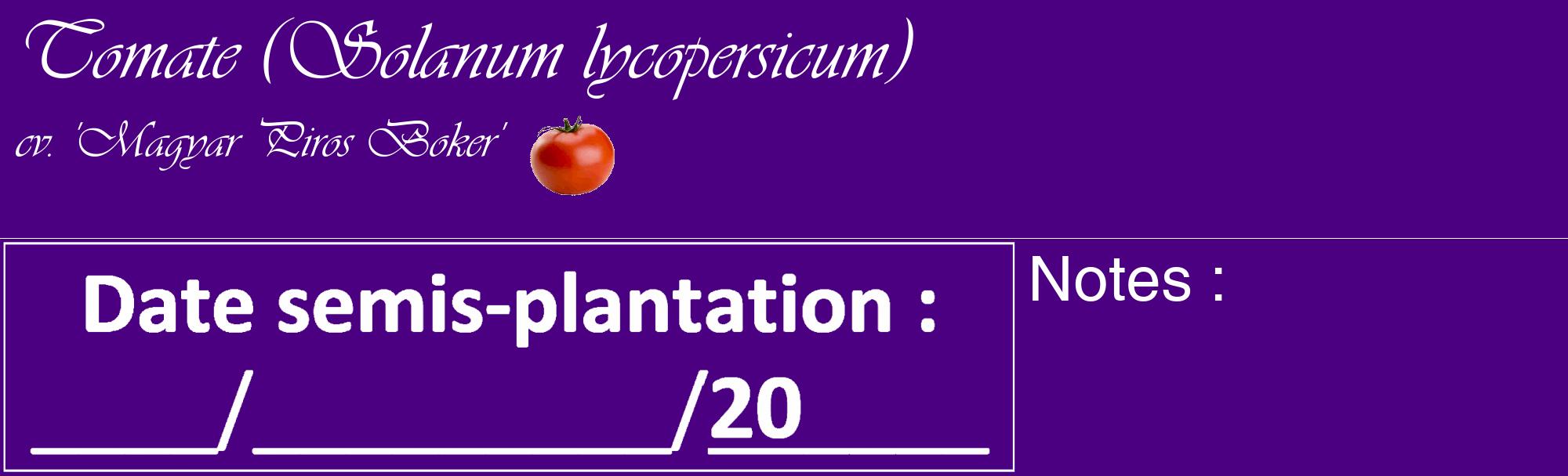 Étiquette de : Solanum lycopersicum cv. 'Magyar Piros Boker' - format c - style blanche47_basique_basiqueviv avec comestibilité simplifiée