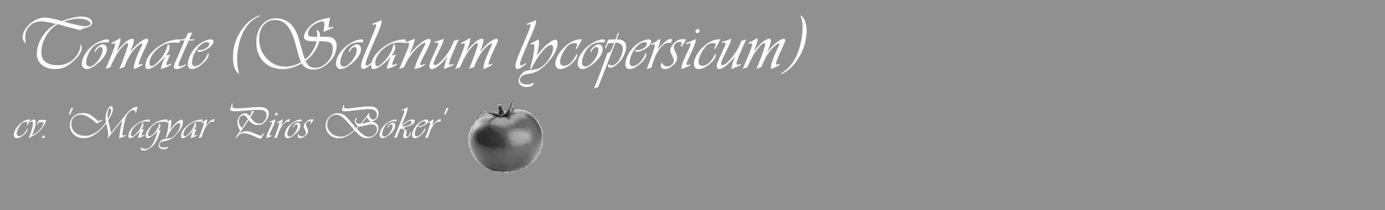 Étiquette de : Solanum lycopersicum cv. 'Magyar Piros Boker' - format c - style blanche4_basique_basiqueviv avec comestibilité simplifiée