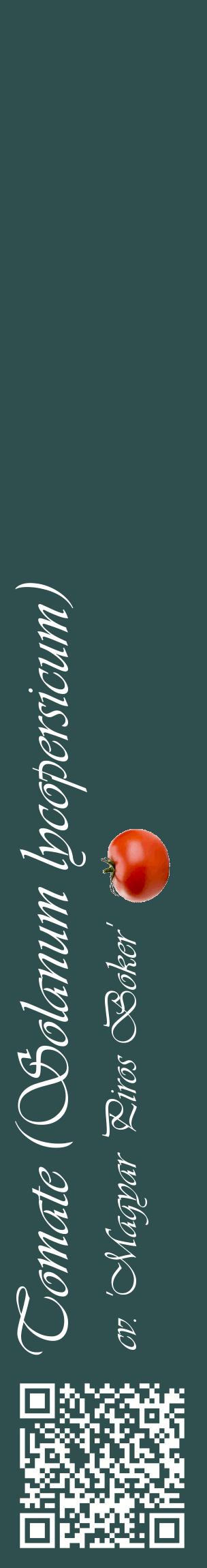 Étiquette de : Solanum lycopersicum cv. 'Magyar Piros Boker' - format c - style blanche58_basiqueviv avec qrcode et comestibilité simplifiée