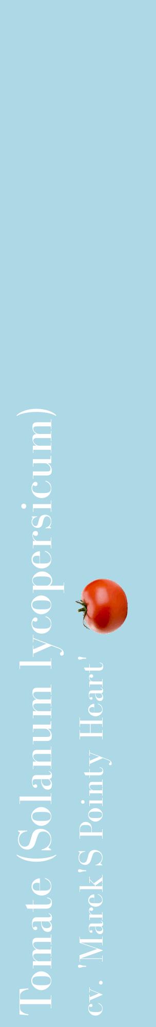 Étiquette de : Solanum lycopersicum cv. 'Marek'S Pointy Heart' - format c - style blanche0_basiquebod avec comestibilité simplifiée