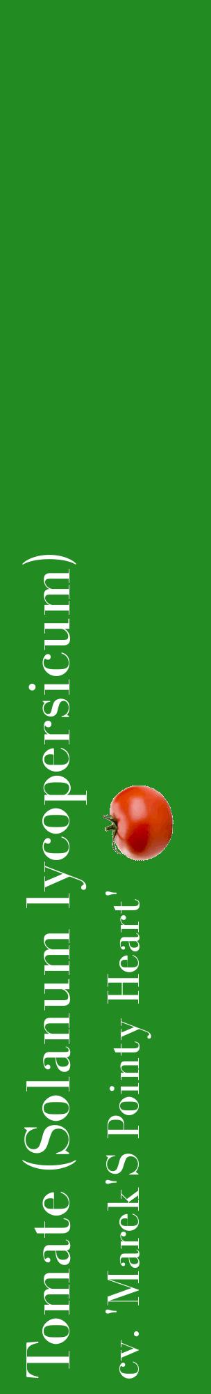 Étiquette de : Solanum lycopersicum cv. 'Marek'S Pointy Heart' - format c - style blanche10_basiquebod avec comestibilité simplifiée