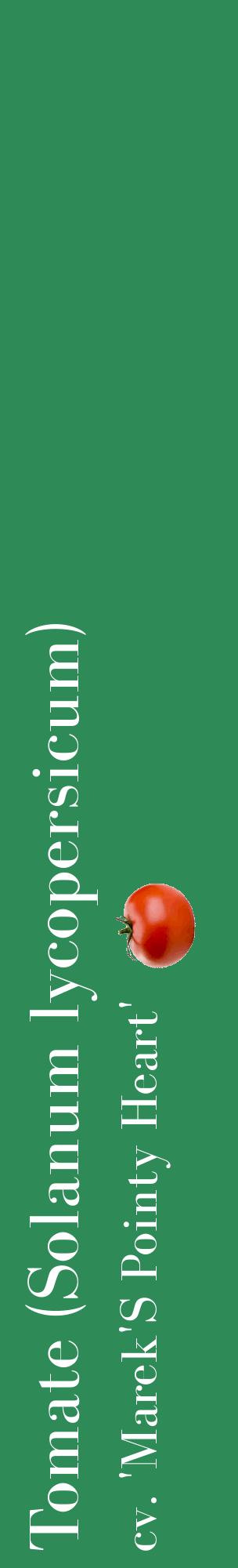 Étiquette de : Solanum lycopersicum cv. 'Marek'S Pointy Heart' - format c - style blanche11_basiquebod avec comestibilité simplifiée