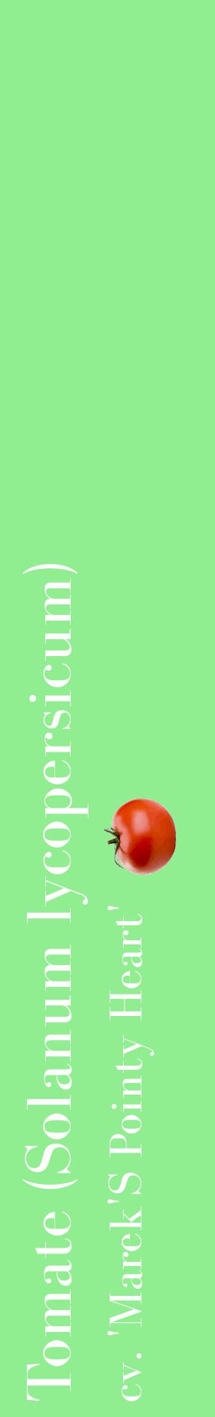 Étiquette de : Solanum lycopersicum cv. 'Marek'S Pointy Heart' - format c - style blanche15_basiquebod avec comestibilité simplifiée