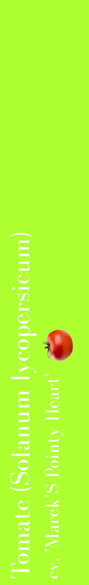 Étiquette de : Solanum lycopersicum cv. 'Marek'S Pointy Heart' - format c - style blanche17_basiquebod avec comestibilité simplifiée