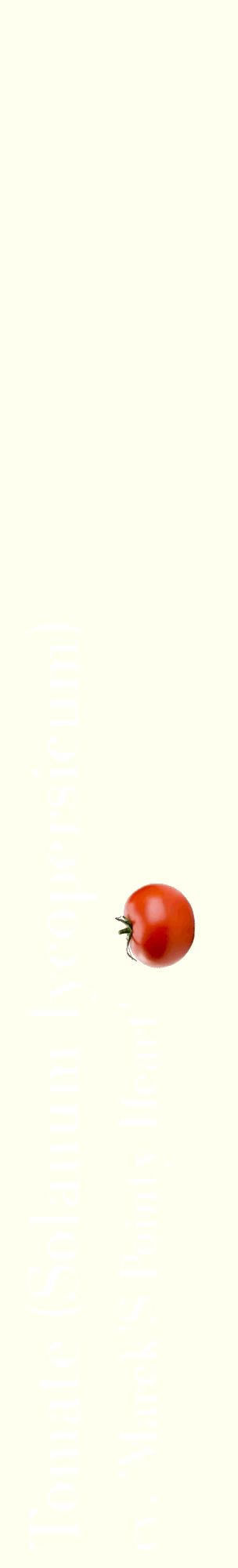 Étiquette de : Solanum lycopersicum cv. 'Marek'S Pointy Heart' - format c - style blanche19_basiquebod avec comestibilité simplifiée