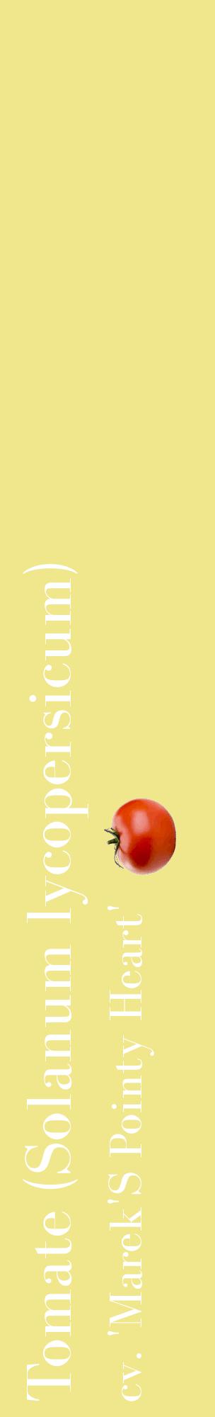 Étiquette de : Solanum lycopersicum cv. 'Marek'S Pointy Heart' - format c - style blanche20_basiquebod avec comestibilité simplifiée