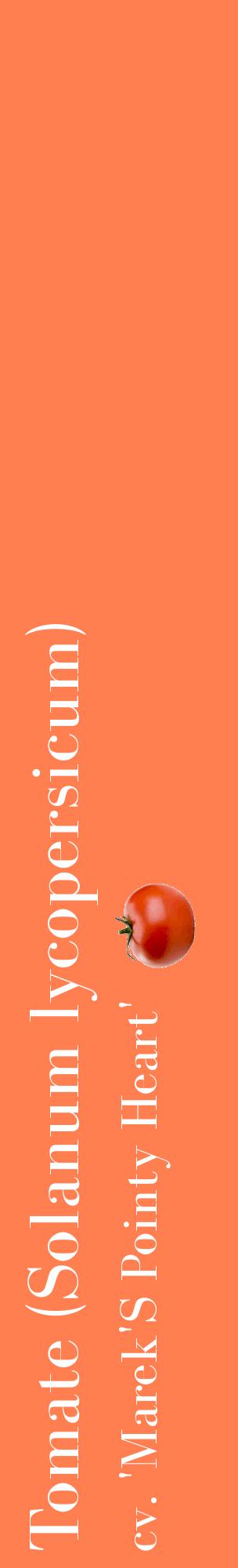 Étiquette de : Solanum lycopersicum cv. 'Marek'S Pointy Heart' - format c - style blanche24_basiquebod avec comestibilité simplifiée