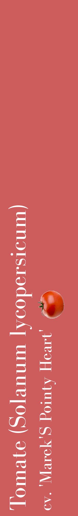 Étiquette de : Solanum lycopersicum cv. 'Marek'S Pointy Heart' - format c - style blanche35_basiquebod avec comestibilité simplifiée