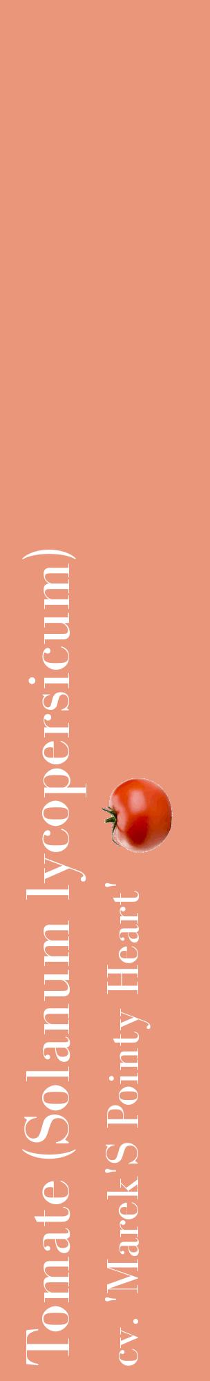 Étiquette de : Solanum lycopersicum cv. 'Marek'S Pointy Heart' - format c - style blanche37_basiquebod avec comestibilité simplifiée