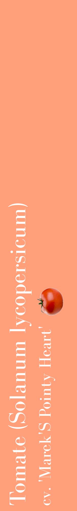Étiquette de : Solanum lycopersicum cv. 'Marek'S Pointy Heart' - format c - style blanche39_basiquebod avec comestibilité simplifiée