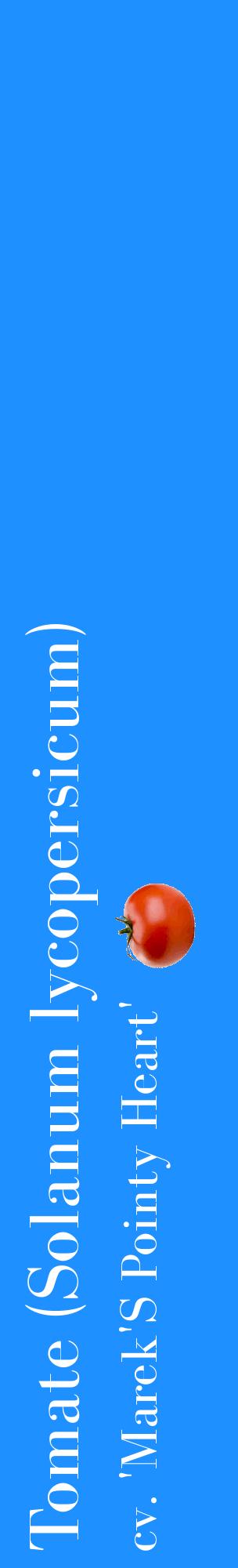 Étiquette de : Solanum lycopersicum cv. 'Marek'S Pointy Heart' - format c - style blanche3_basiquebod avec comestibilité simplifiée