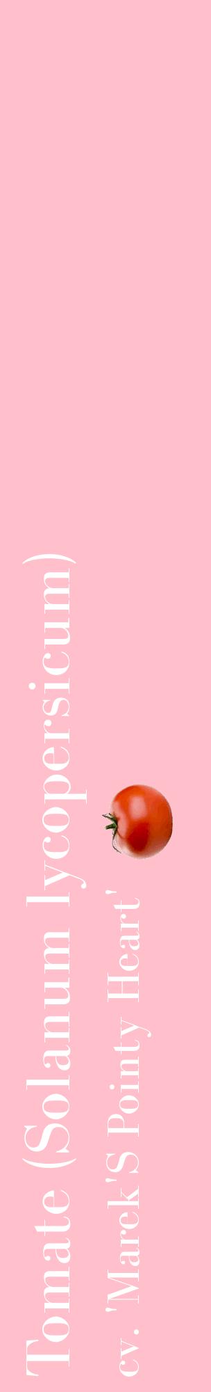 Étiquette de : Solanum lycopersicum cv. 'Marek'S Pointy Heart' - format c - style blanche40_basiquebod avec comestibilité simplifiée