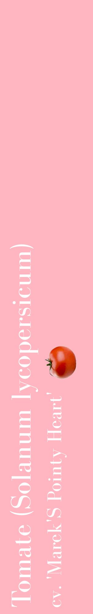 Étiquette de : Solanum lycopersicum cv. 'Marek'S Pointy Heart' - format c - style blanche41_basiquebod avec comestibilité simplifiée