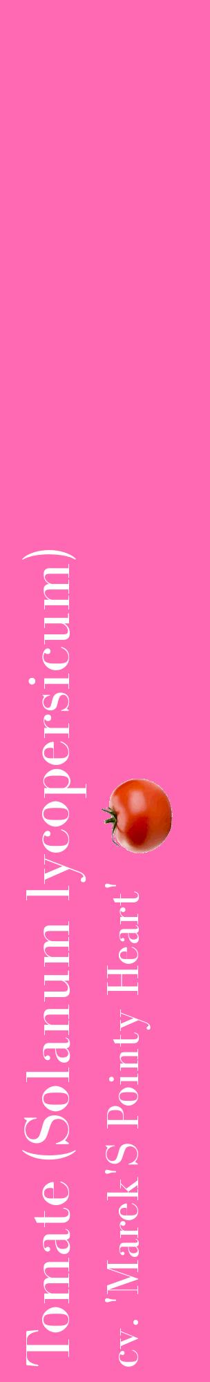 Étiquette de : Solanum lycopersicum cv. 'Marek'S Pointy Heart' - format c - style blanche42_basiquebod avec comestibilité simplifiée