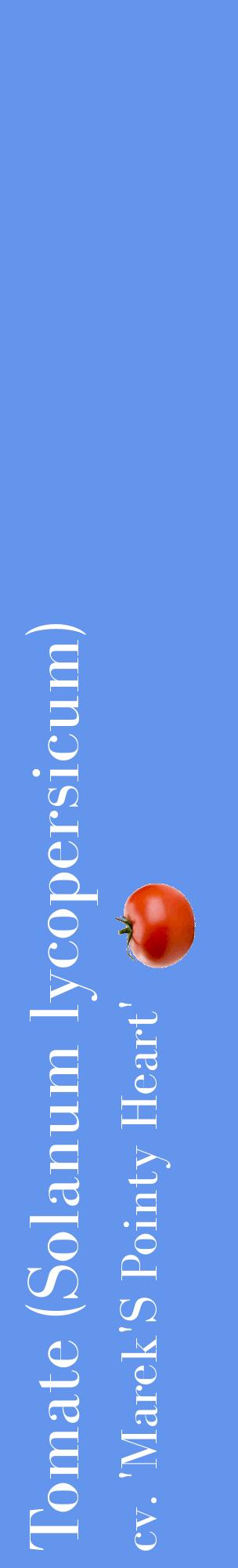 Étiquette de : Solanum lycopersicum cv. 'Marek'S Pointy Heart' - format c - style blanche4_basiquebod avec comestibilité simplifiée