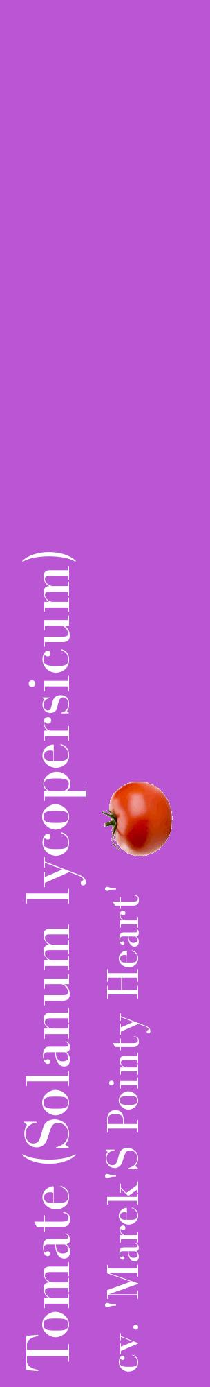 Étiquette de : Solanum lycopersicum cv. 'Marek'S Pointy Heart' - format c - style blanche50_basiquebod avec comestibilité simplifiée