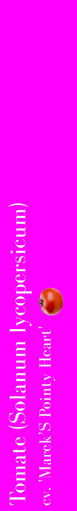 Étiquette de : Solanum lycopersicum cv. 'Marek'S Pointy Heart' - format c - style blanche51_basiquebod avec comestibilité simplifiée